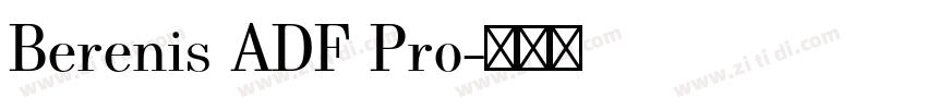 Berenis ADF Pro字体转换